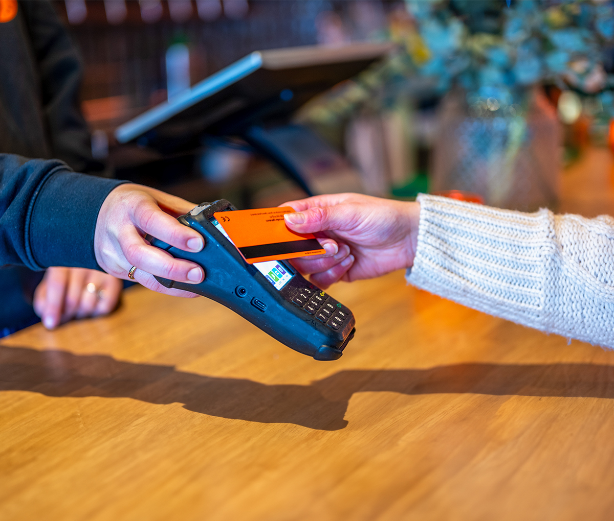 alt="Visa-discount 3-11-2025" title="Visa-discount 3-11-2025"